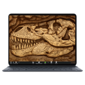 מסך לפטופ כשברקע הדמיית מאובן של ראש של דינוזאור כחלק מחבילת רקעים מעוצבים לזום לילדים ונוער